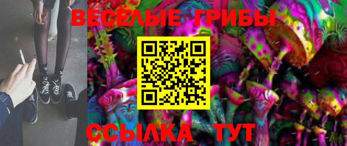 Галлюциногенные грибы Cubensis  Галлюциногенные грибы Cubensis  Донской  Вход с VPN 