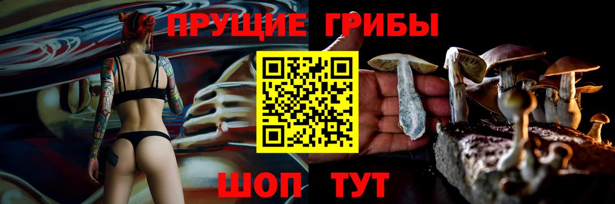 Галлюциногенные грибы Magic Shrooms Донской